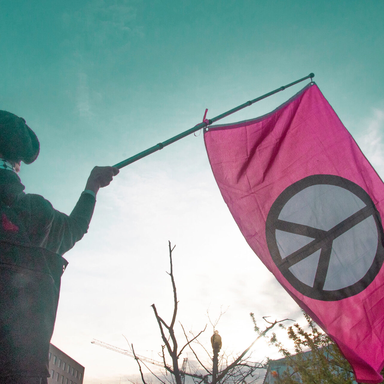 pink-peace-flag